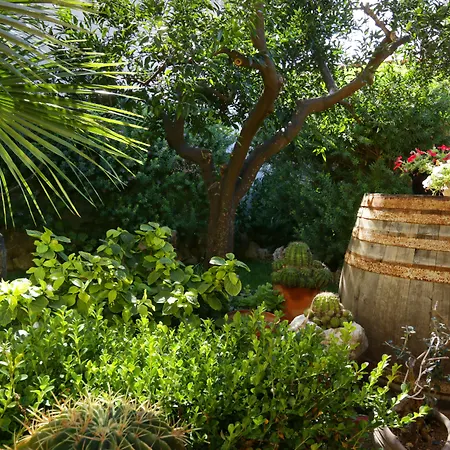 La Bed & Breakfast Presicce